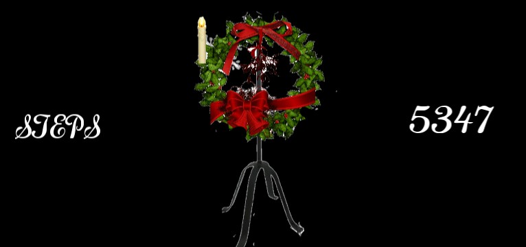 Steps Advent