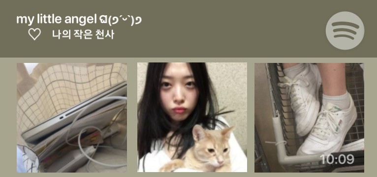 sulli