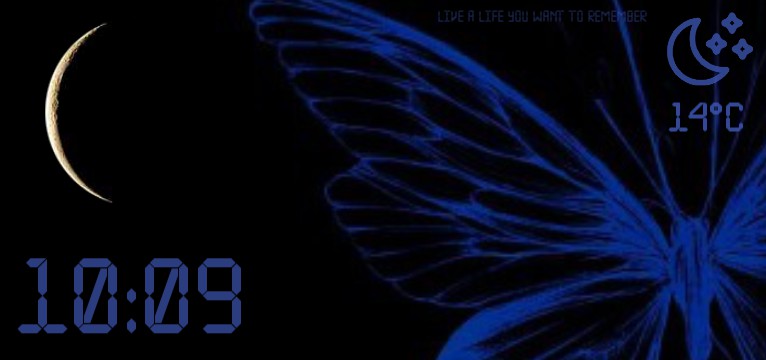 blue butterfly 