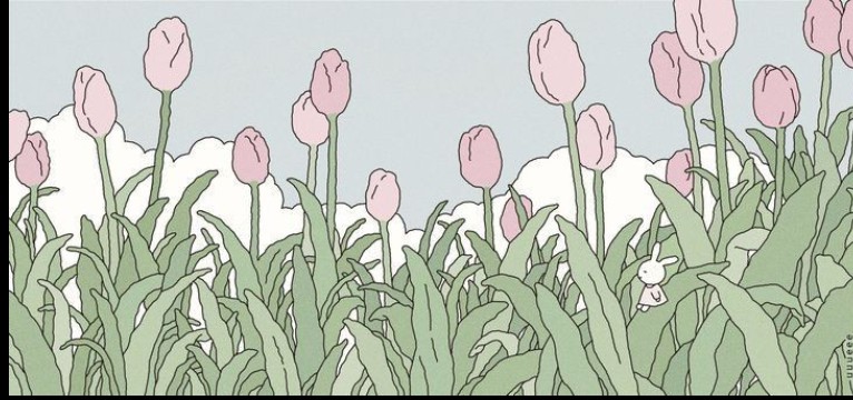 tulips