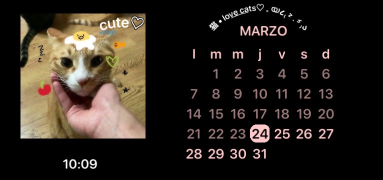 widget calendar