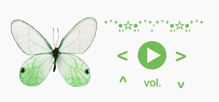 butterfly music control