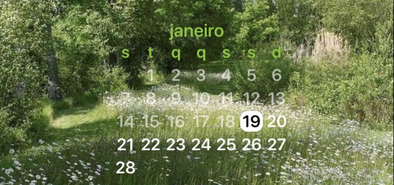 calendrio cottagecore