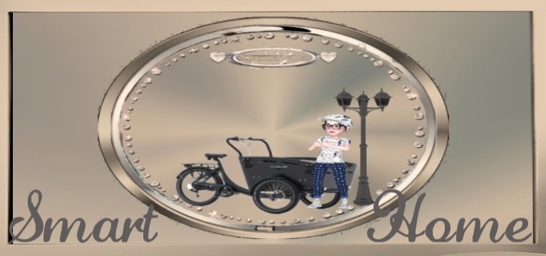 Smarthome Lastenebike 1 beleuchtet 