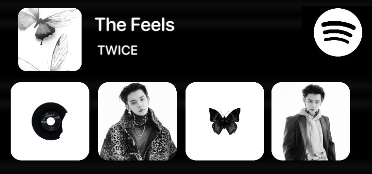 spotify widget