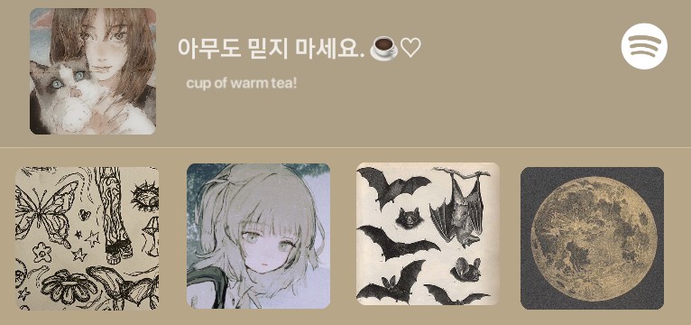 Aesthetic widget Spotify. 