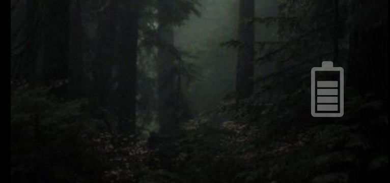 Dark nature