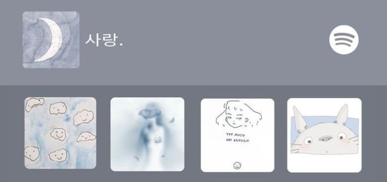 spo widget 