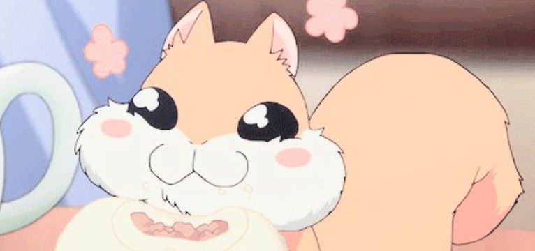 chipmunk