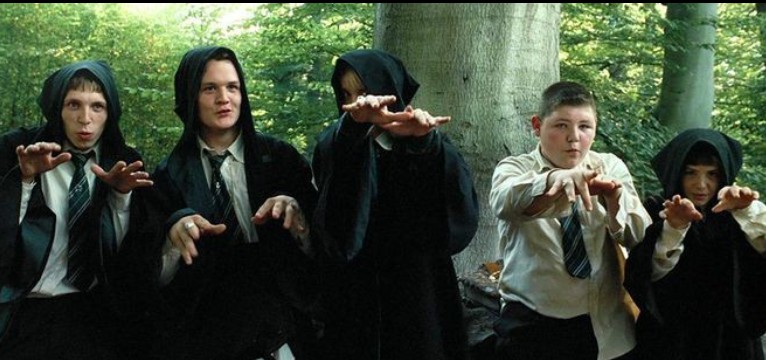 Draco and the squad 
