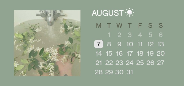 calendar widget