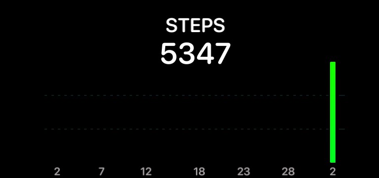 pedometer