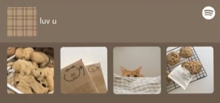 spotify widget