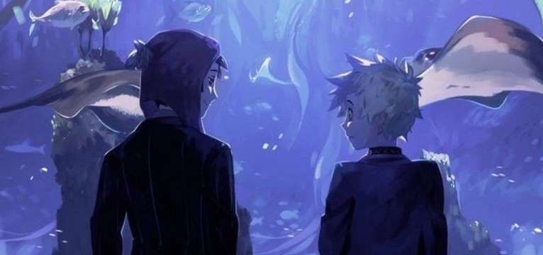 widget tweek x craig cute