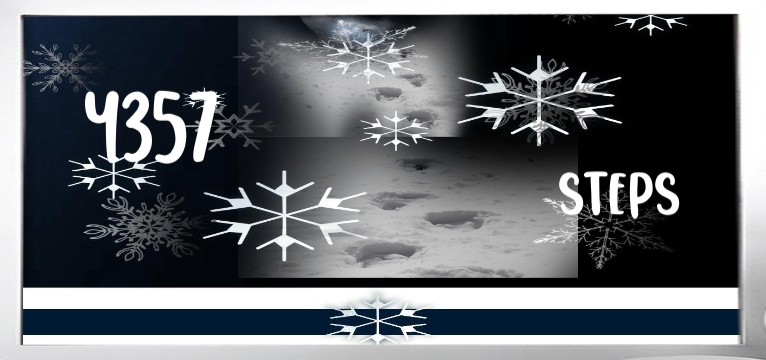 Step Winter White Blue 
