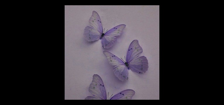 butterflies