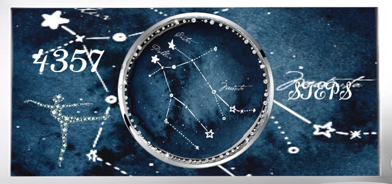 Step Gemini