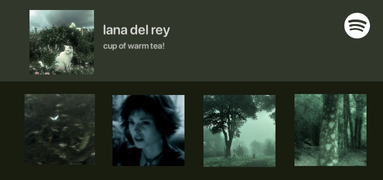 taehyung Spotify Copy