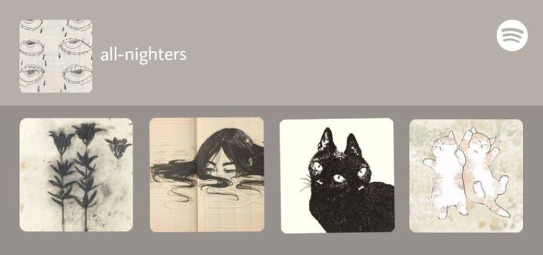 nighters widget