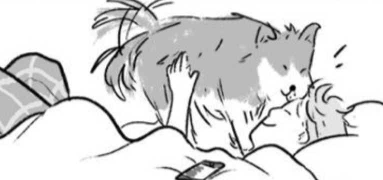 heartstopper 
