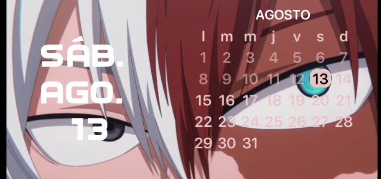 Shoto Todoroki 