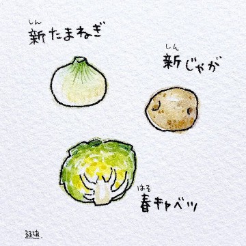 vegies