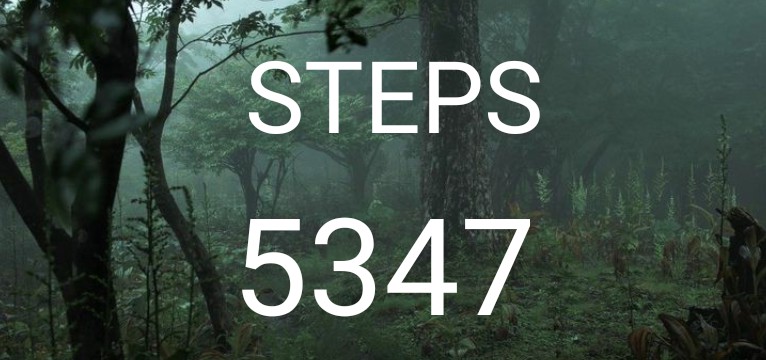 steps