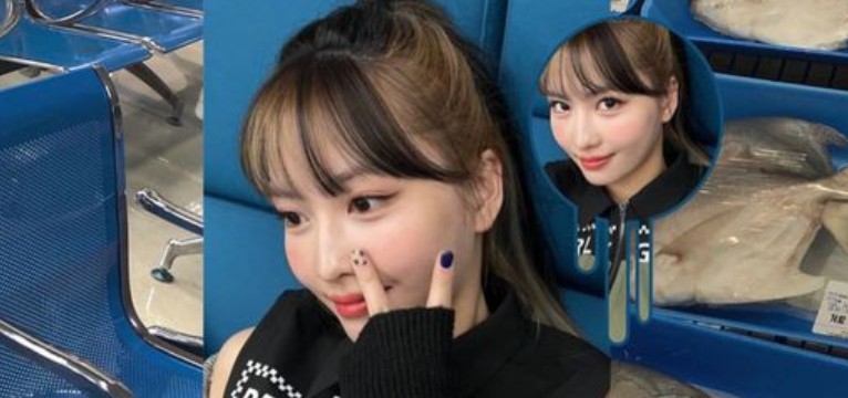 momo twice widget 