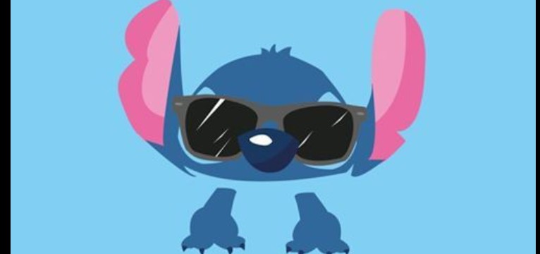 Stitch sunglasses