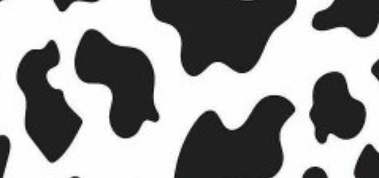 cow print