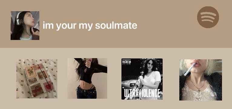 bear spotify aesthetic Copy