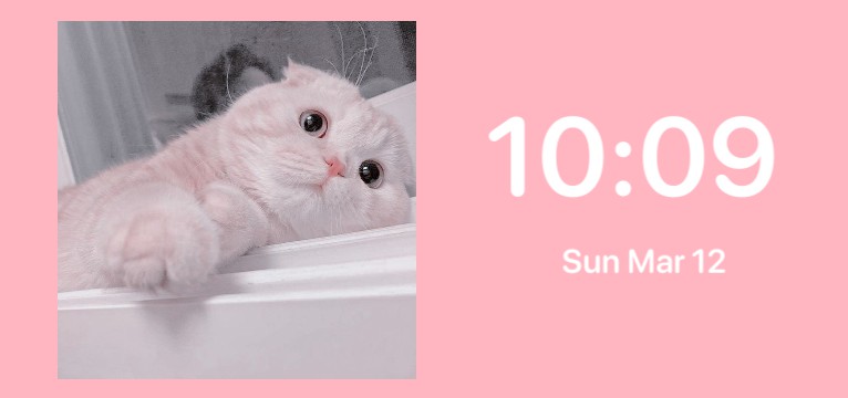 Cat widget