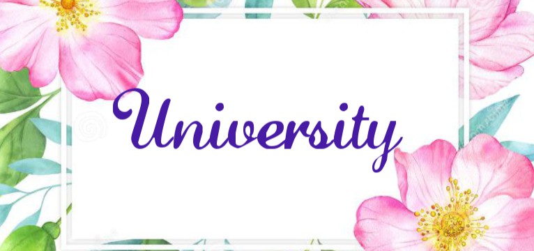 University 