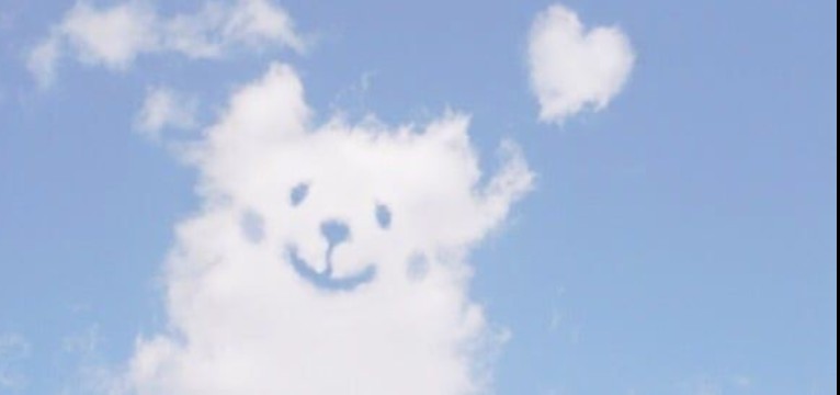 Cloud pupper