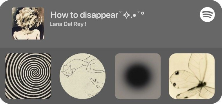 Spotify widget