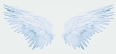 angel
