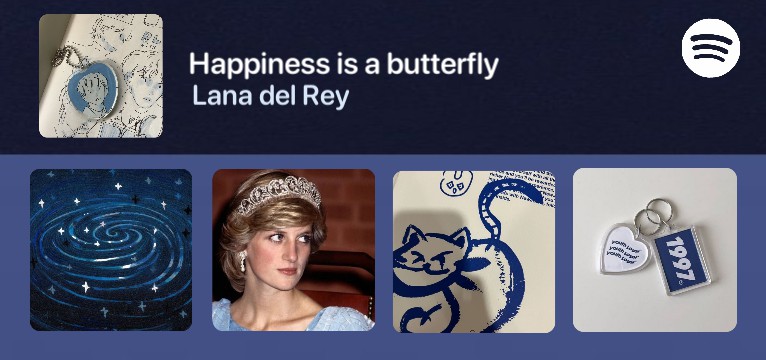 Spotify Widget.