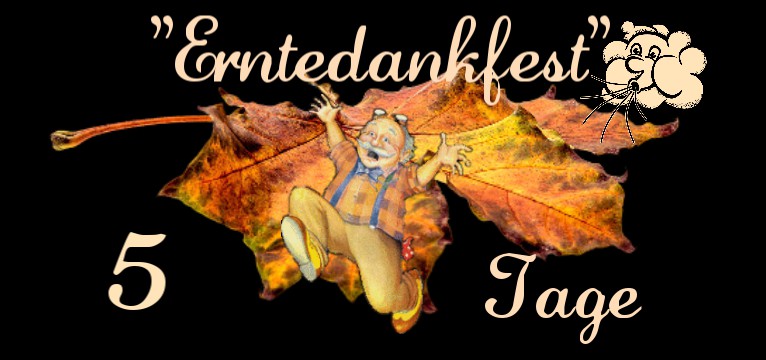  counter Herbst Rueckenwind 