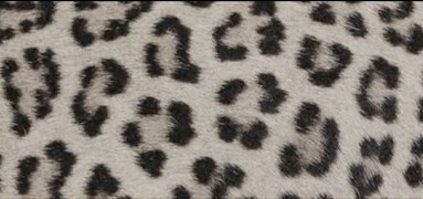 CHEETAH PRINT