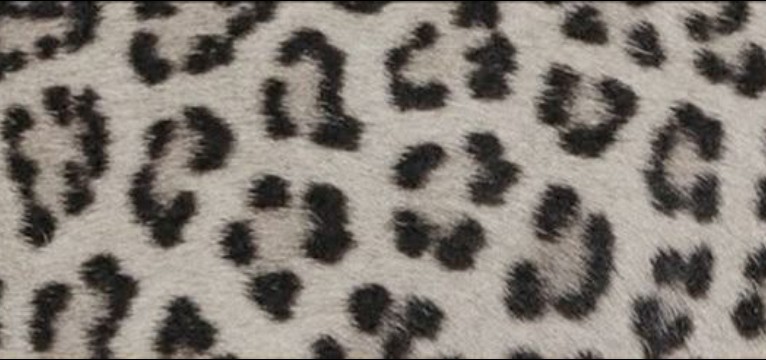 CHEETAH PRINT 