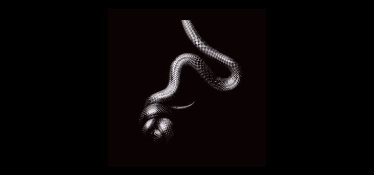 snake tail 