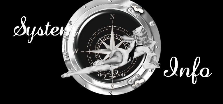 System Bullauge Pin Up 