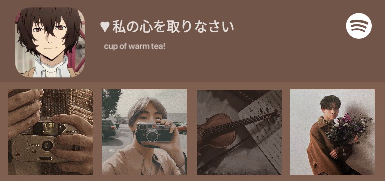 taehyung Spotify Copy