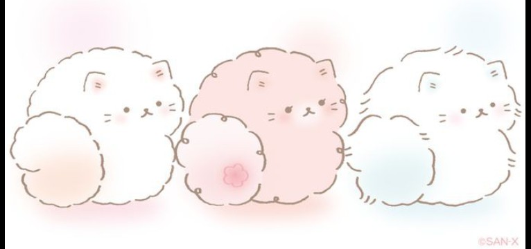 kitty cat