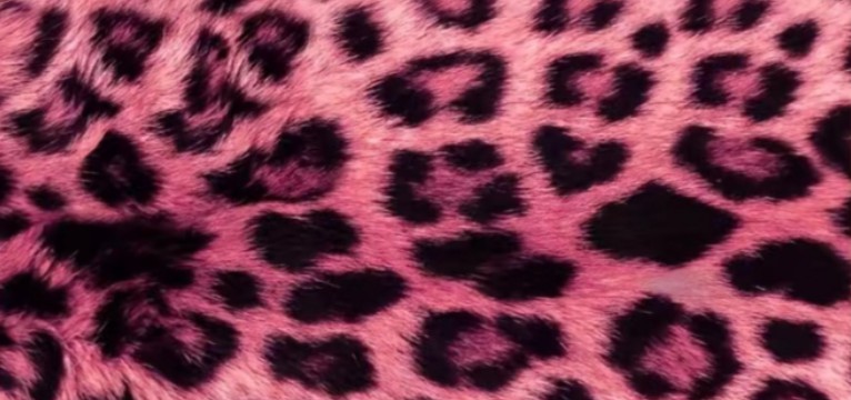 leopard pink 