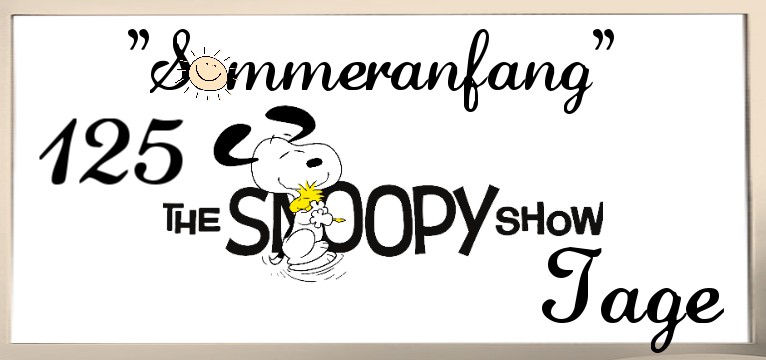  counter The Snoopy 