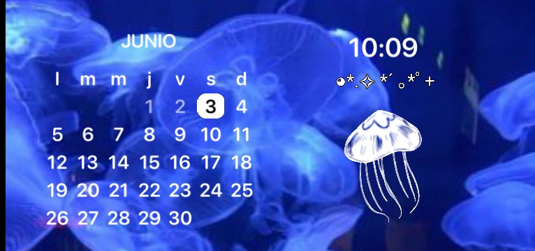 Medusas3