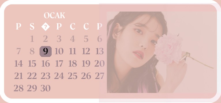 IU widget