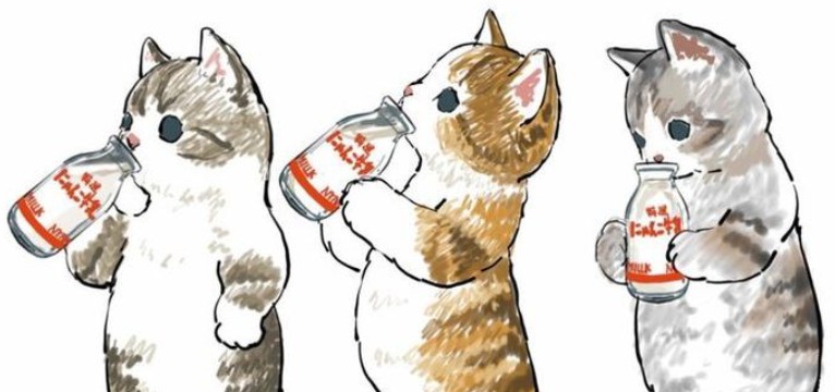 cats with soda 