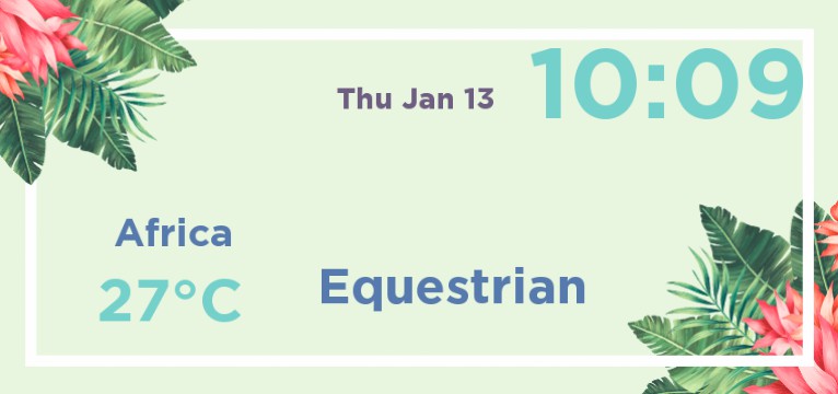 Equestrian widget